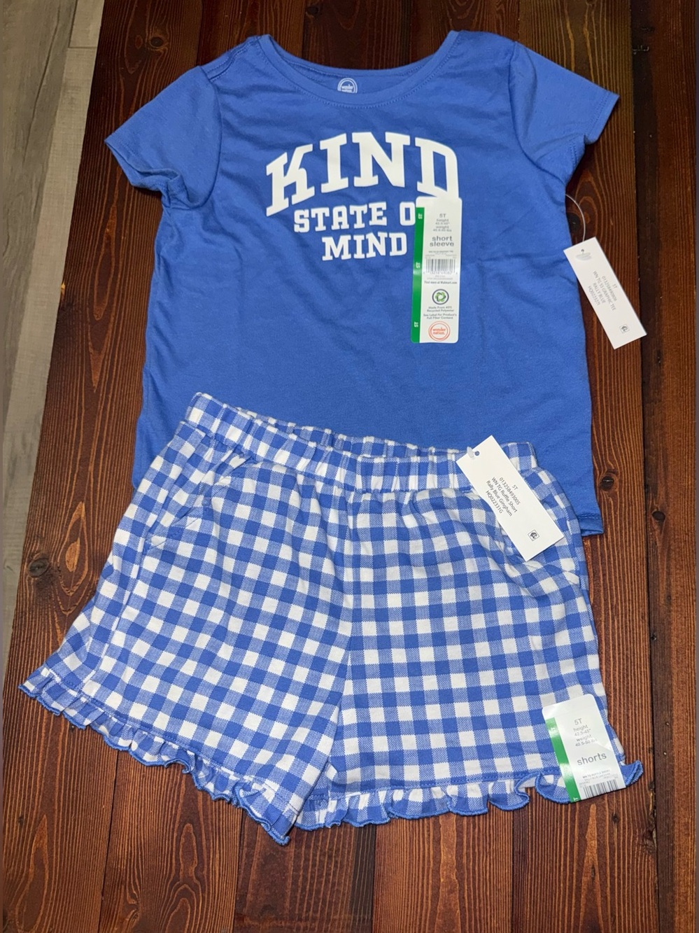NWT- Wonder Nation Girls Blue/White Graphic Tee & Blue/White Gingham Shorts-5T